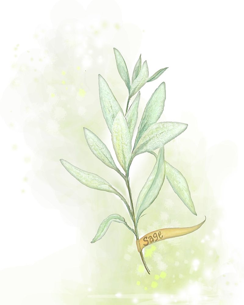 Fresh Herbs III art print by Diannart for $57.95 CAD