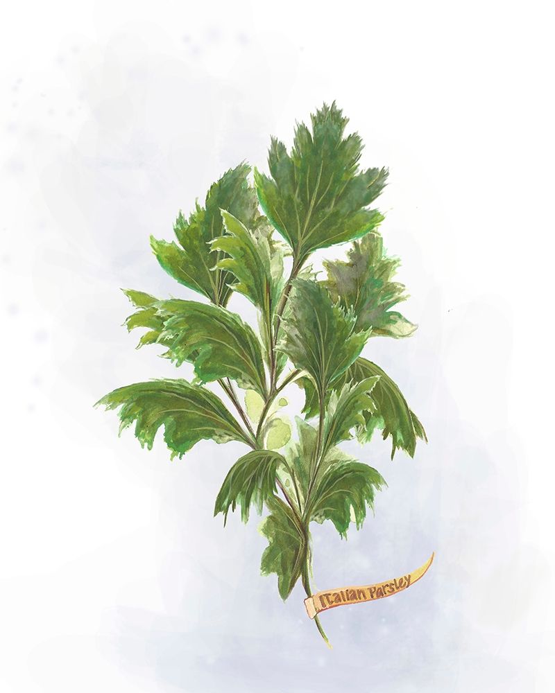 Fresh Herbs I art print by Diannart for $57.95 CAD