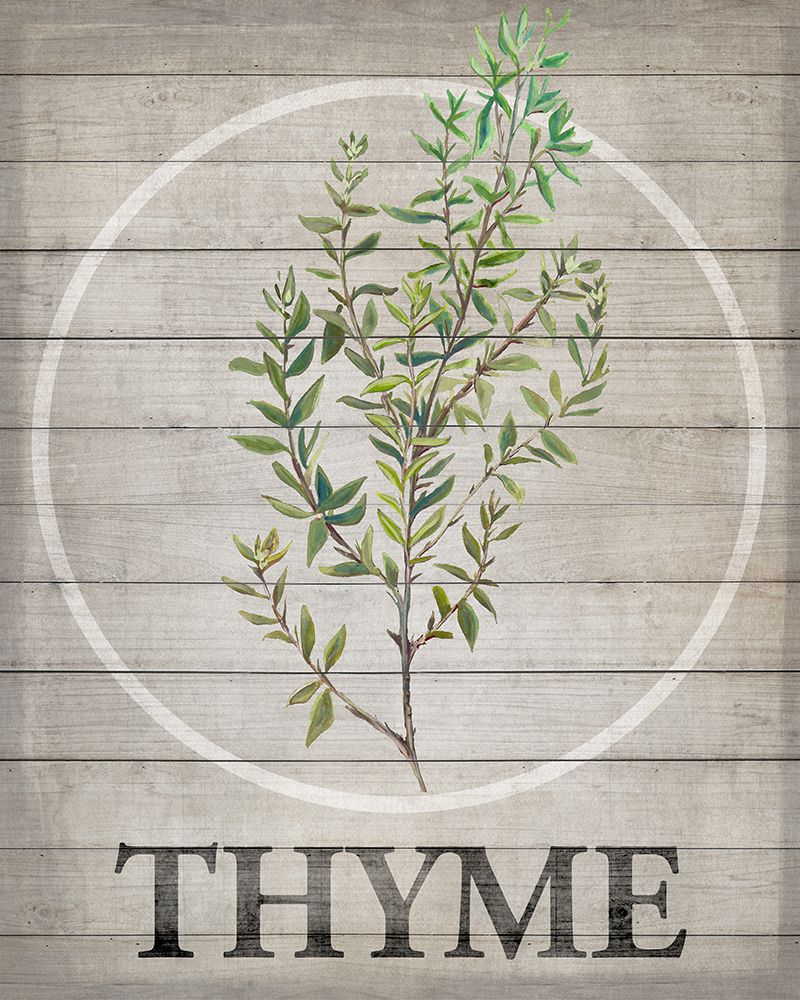 Fresh Herbs on Wood IV art print by Diannart for $57.95 CAD