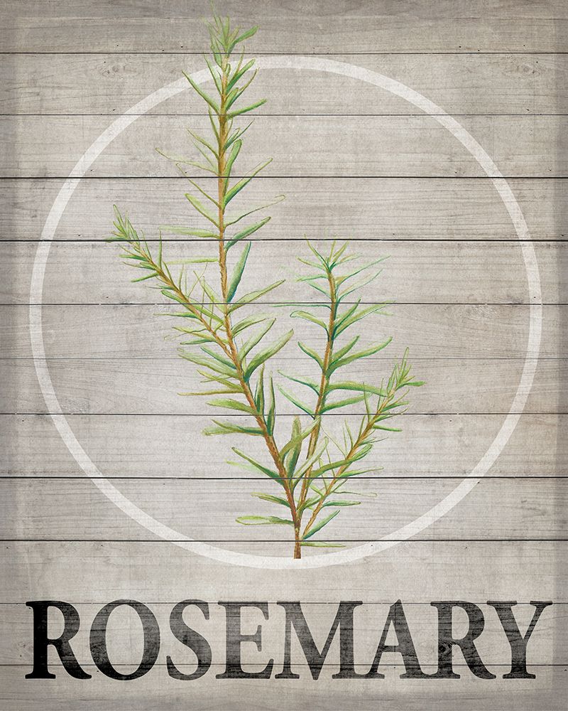 Fresh Herbs on Wood II art print by Diannart for $57.95 CAD