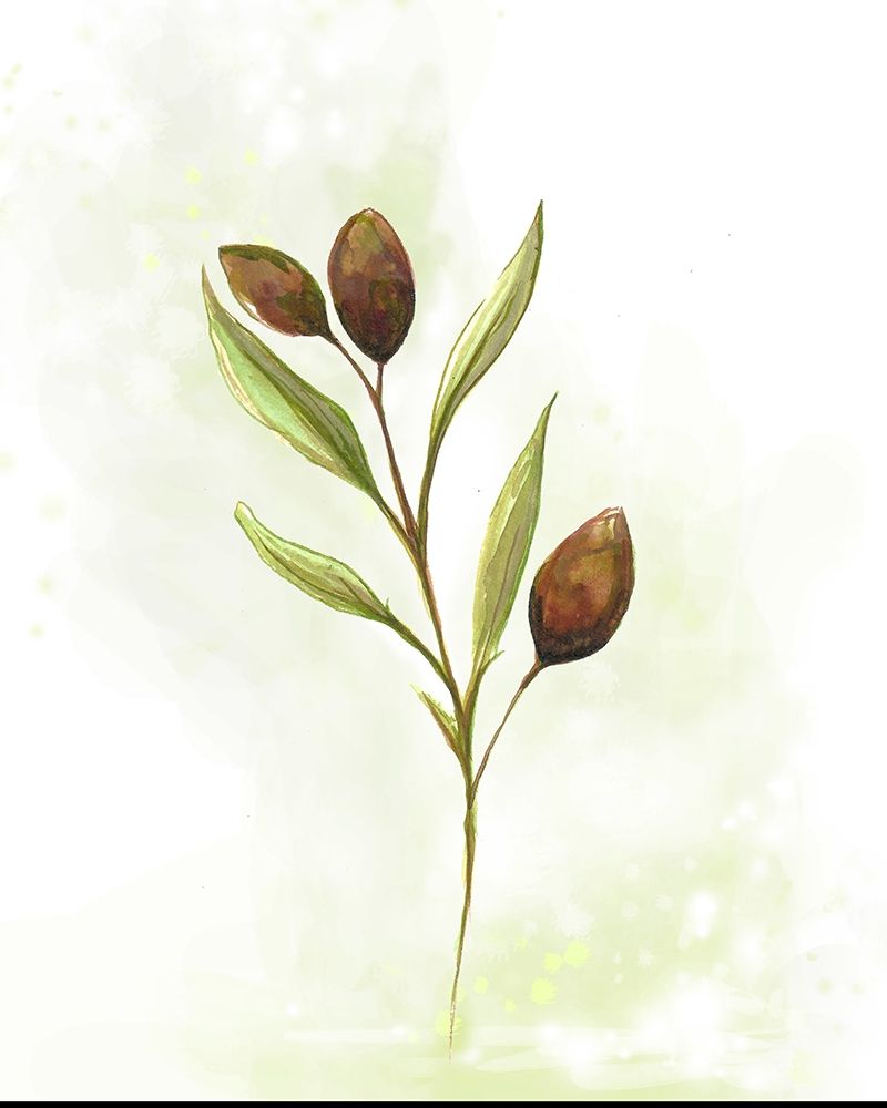 Fresh Herbs VI art print by Diannart for $57.95 CAD