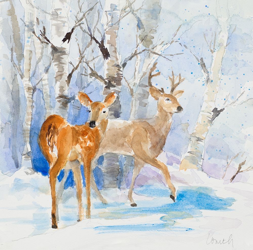 Deer in the Cypress art print by Lanie Loreth for $57.95 CAD