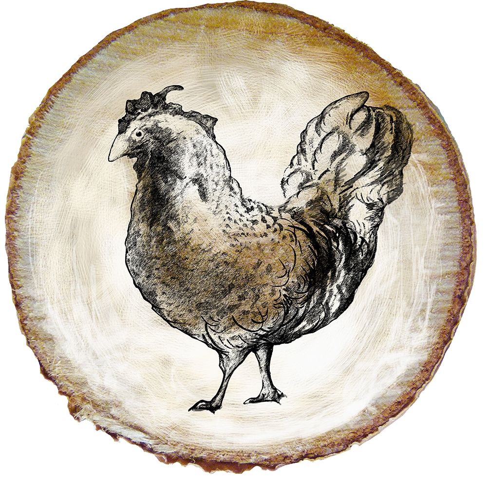Barnyard Coop Circle I art print by Diannart for $57.95 CAD