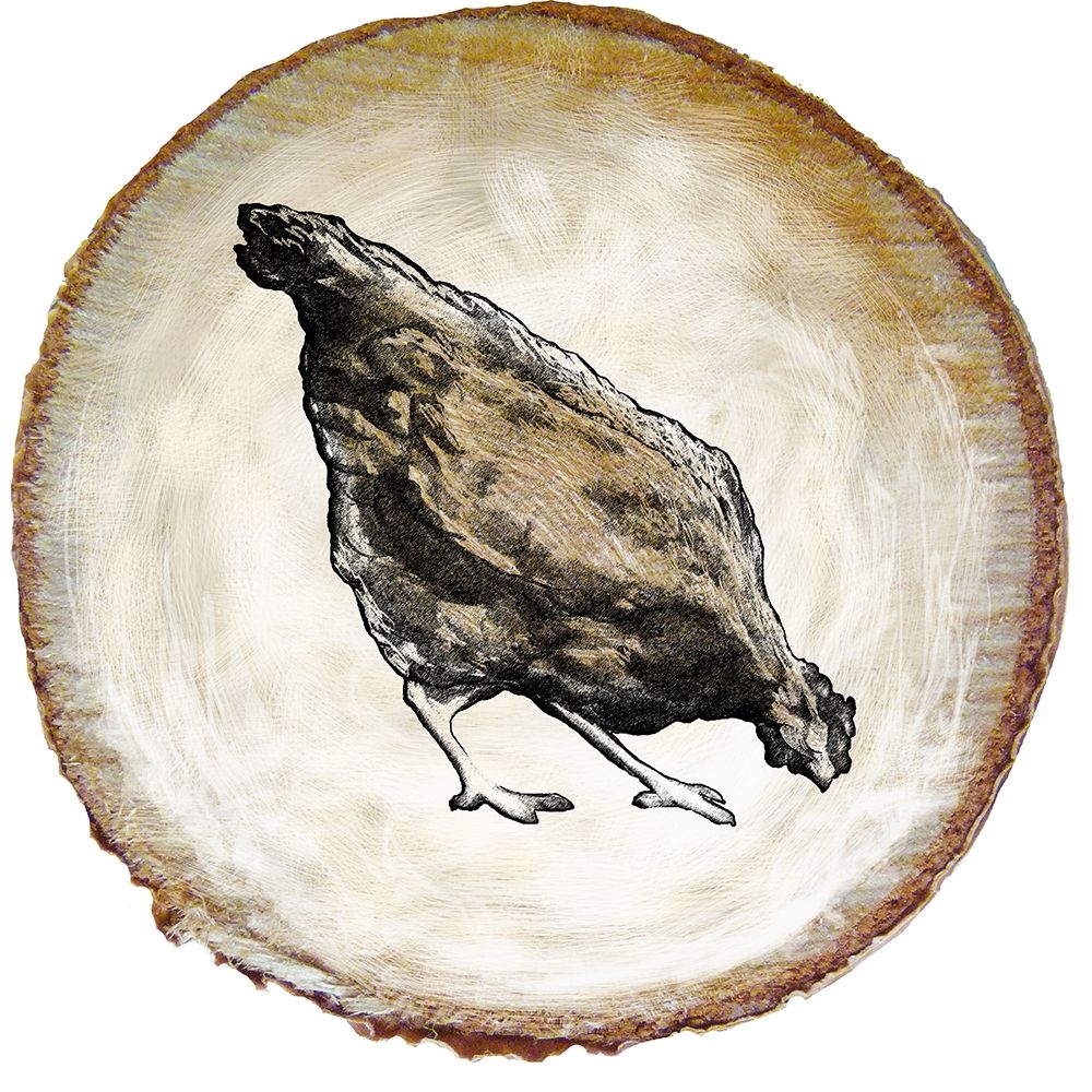 Barnyard Coop Circle II art print by Diannart for $57.95 CAD