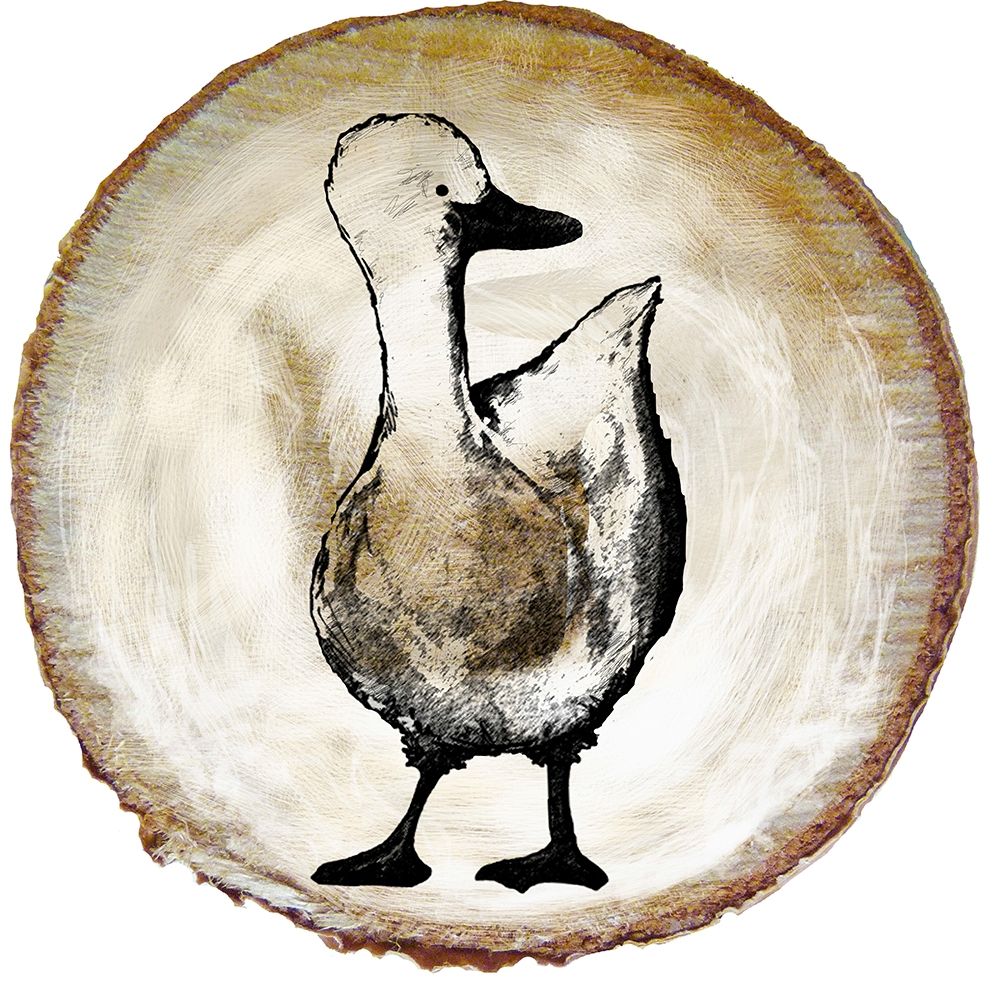 Barnyard Coop Circle III art print by Diannart for $57.95 CAD