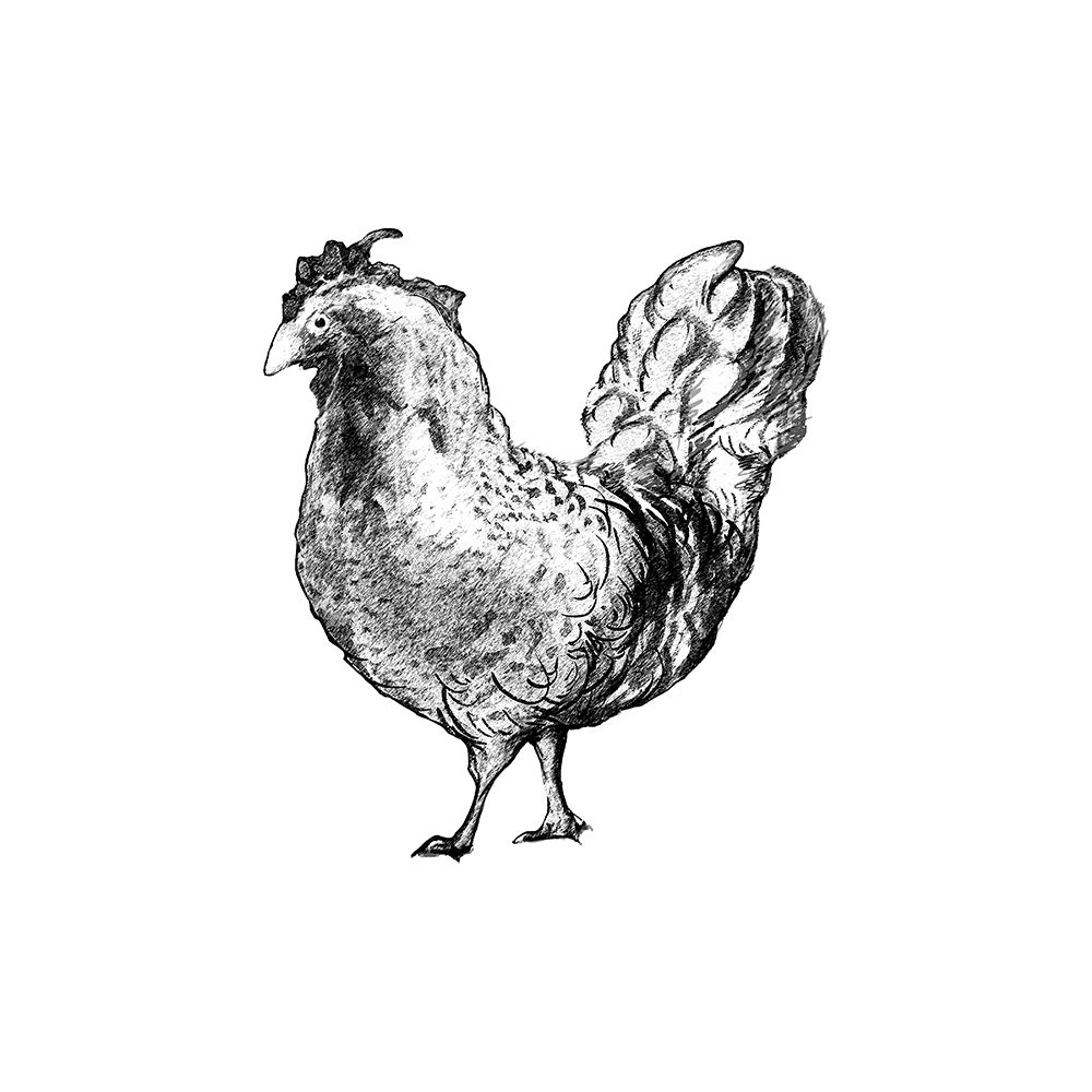 Barnyard Coop I art print by Diannart for $57.95 CAD