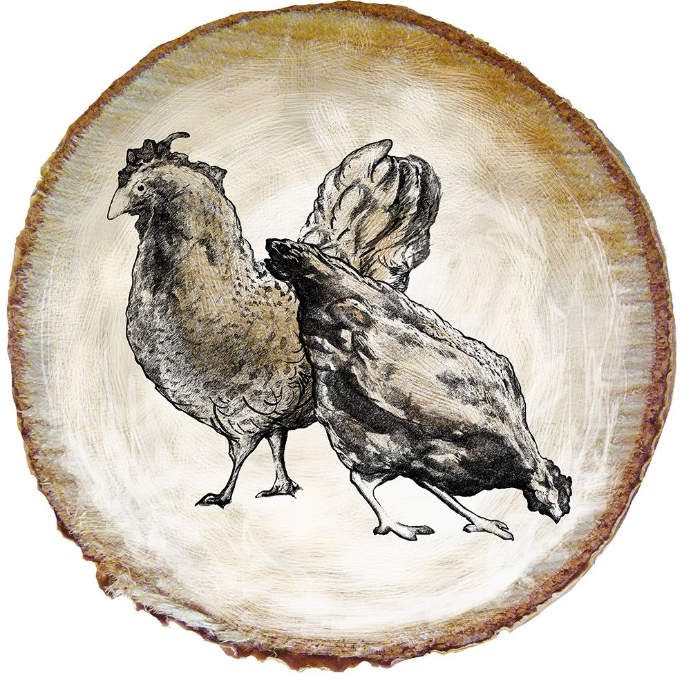 Barnyard Coop Circle V art print by Diannart for $57.95 CAD