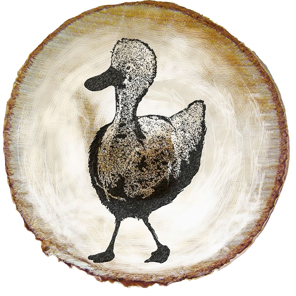 Barnyard Coop Circle VI art print by Diannart for $57.95 CAD