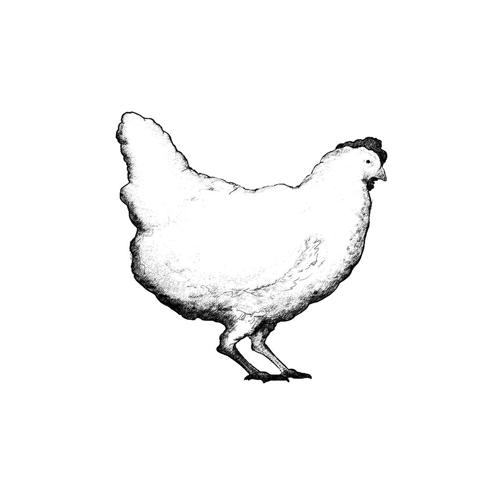 Barnyard Coop II art print by Diannart for $57.95 CAD