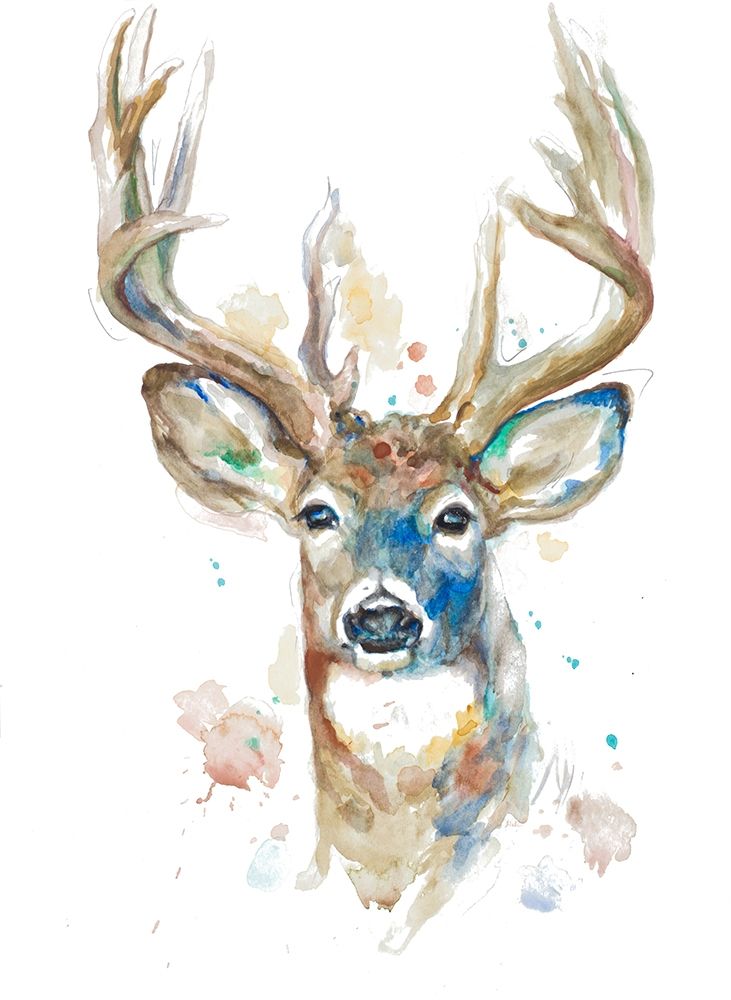 Deer Facing Front art print by Patricia Pinto for $57.95 CAD