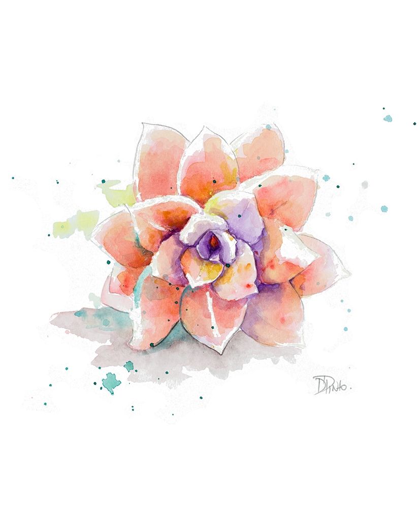 Peach Succulent art print by Patricia Pinto for $57.95 CAD