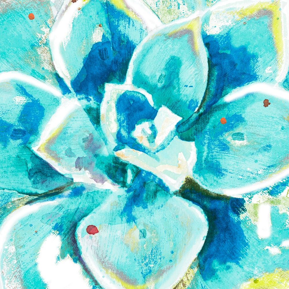 Aqua Succulent Close Up art print by Patricia Pinto for $57.95 CAD