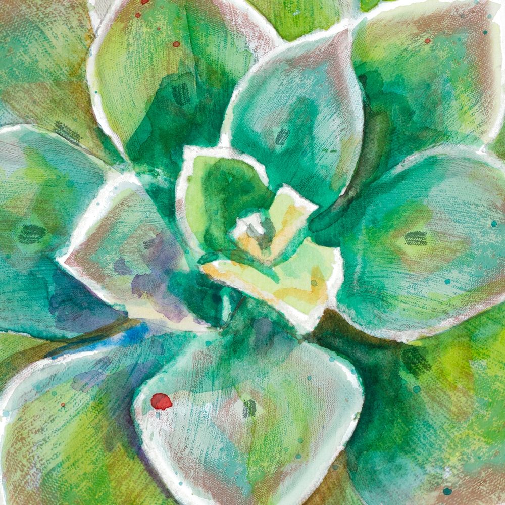 Green Succulent Close Up art print by Patricia Pinto for $57.95 CAD