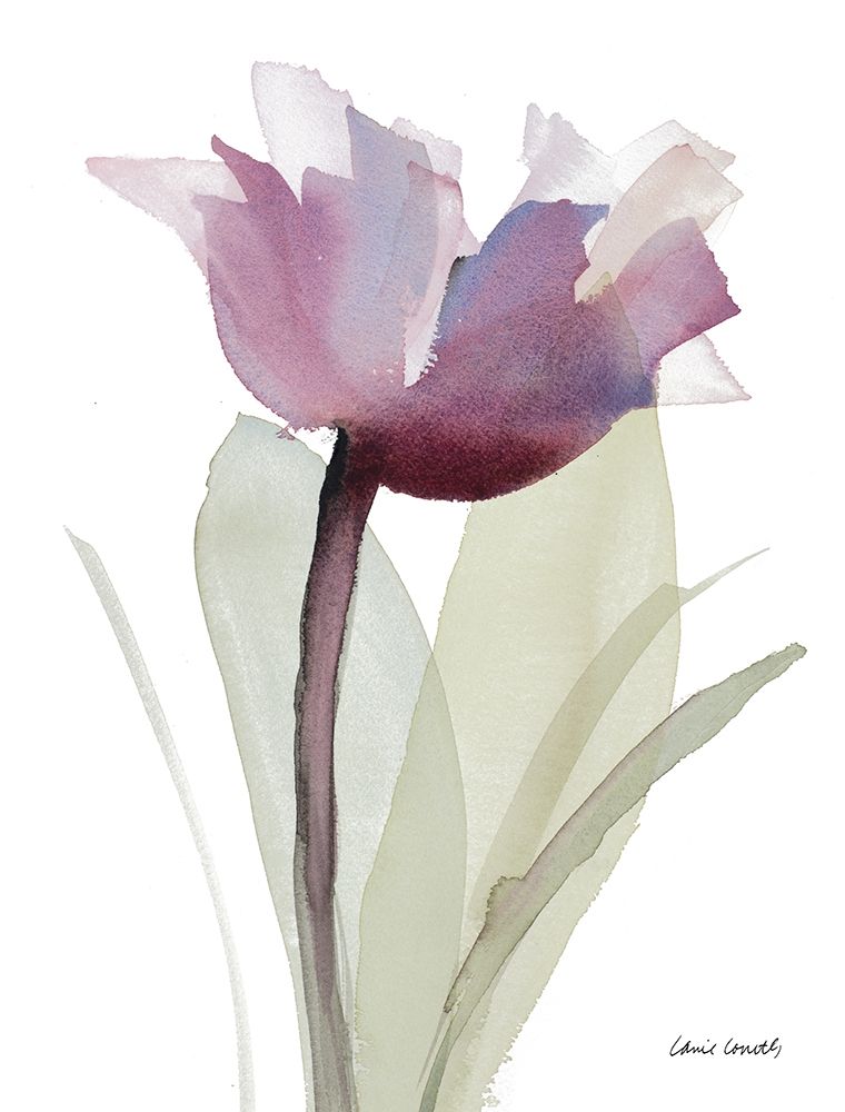 Single Whisper art print by Lanie Loreth for $57.95 CAD