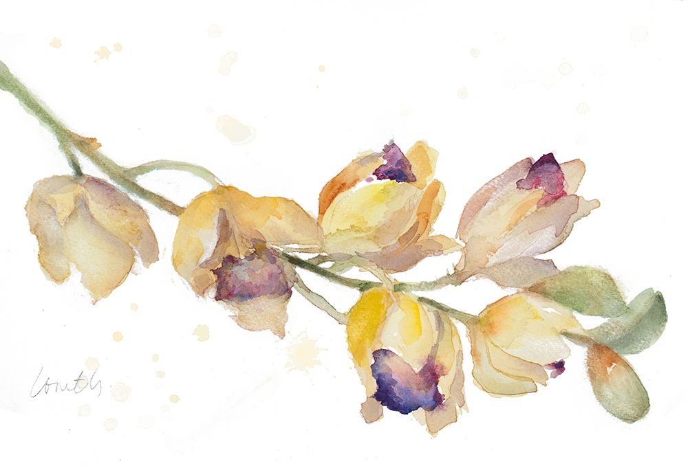 Orchid Bud Branch art print by Lanie Loreth for $57.95 CAD