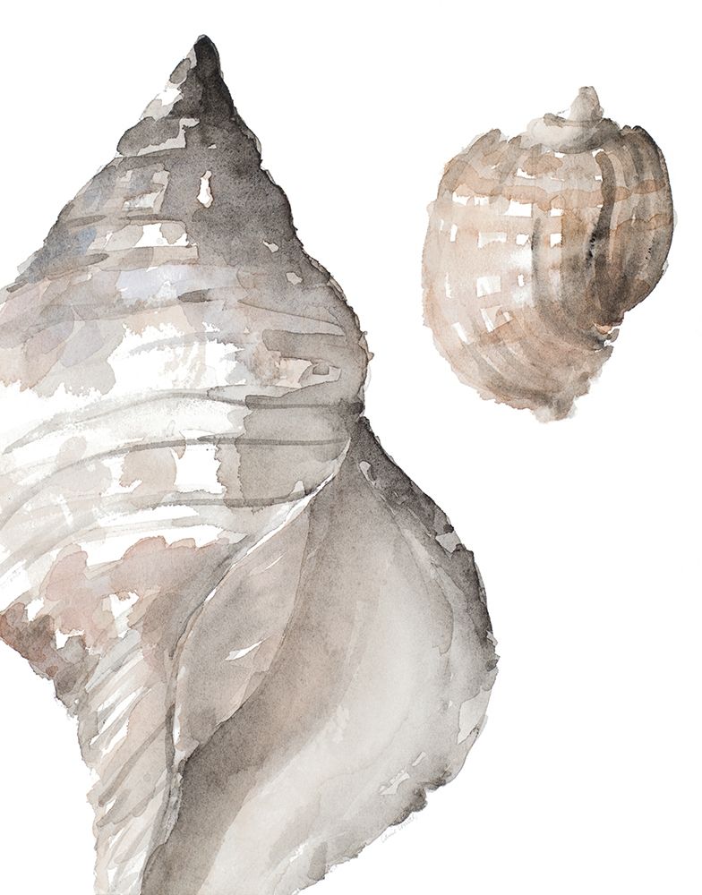Tonal Shell I art print by Lanie Loreth for $57.95 CAD