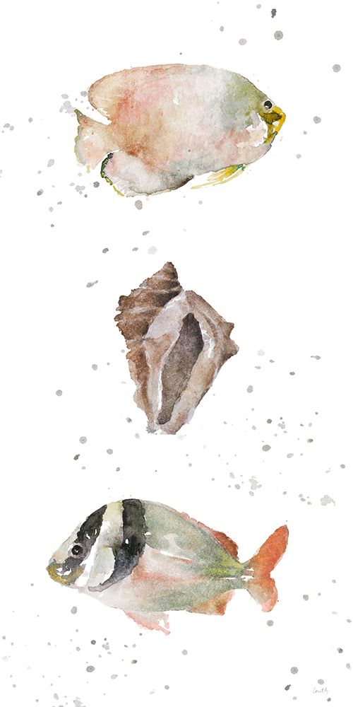 Coastal Medley II art print by Lanie Loreth for $57.95 CAD
