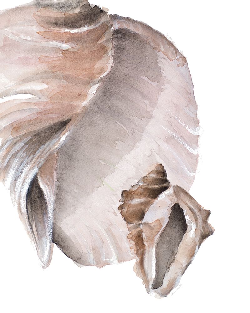 Tonal Shell II art print by Lanie Loreth for $57.95 CAD