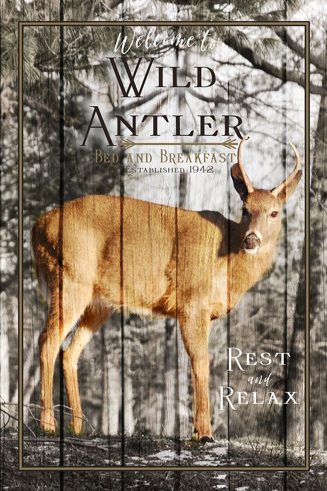 Wild Antler art print by Andi Metz for $57.95 CAD