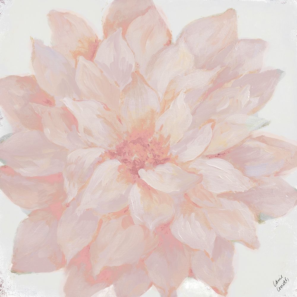 Soft Blooming Beauty art print by Lanie Loreth for $57.95 CAD