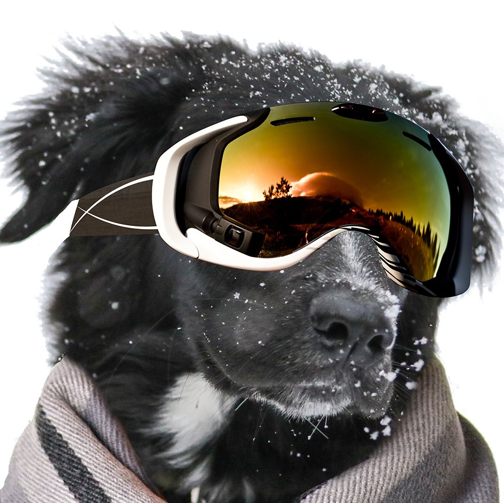 Fidos Ski Trip Square art print by SD Graphics Studio for $57.95 CAD
