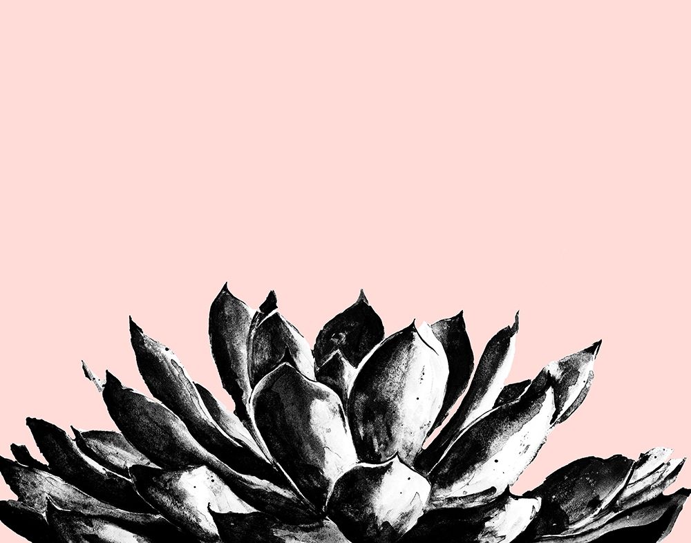Agave on Blush art print by Patricia Pinto for $57.95 CAD