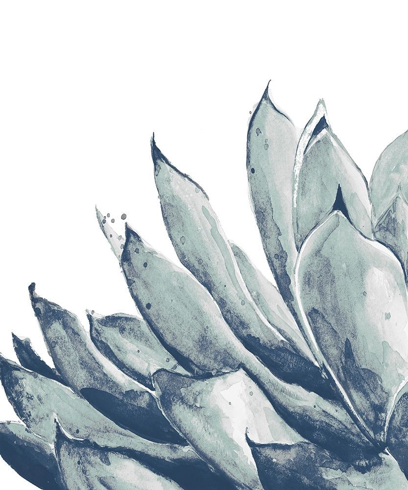 Blue Agave on White I art print by Patricia Pinto for $57.95 CAD