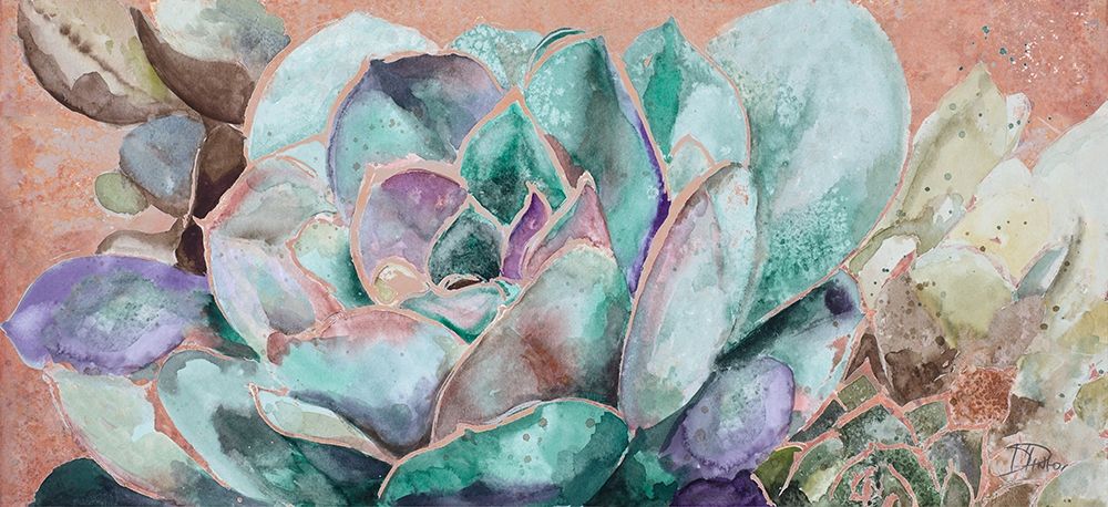 Desert Flower on Terra Cotta art print by Patricia Pinto for $57.95 CAD