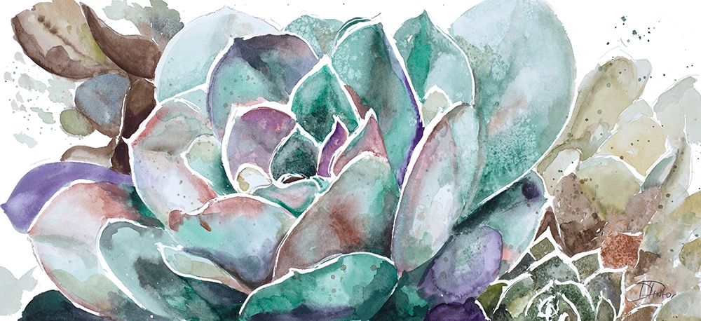 Desert Flower art print by Patricia Pinto for $57.95 CAD