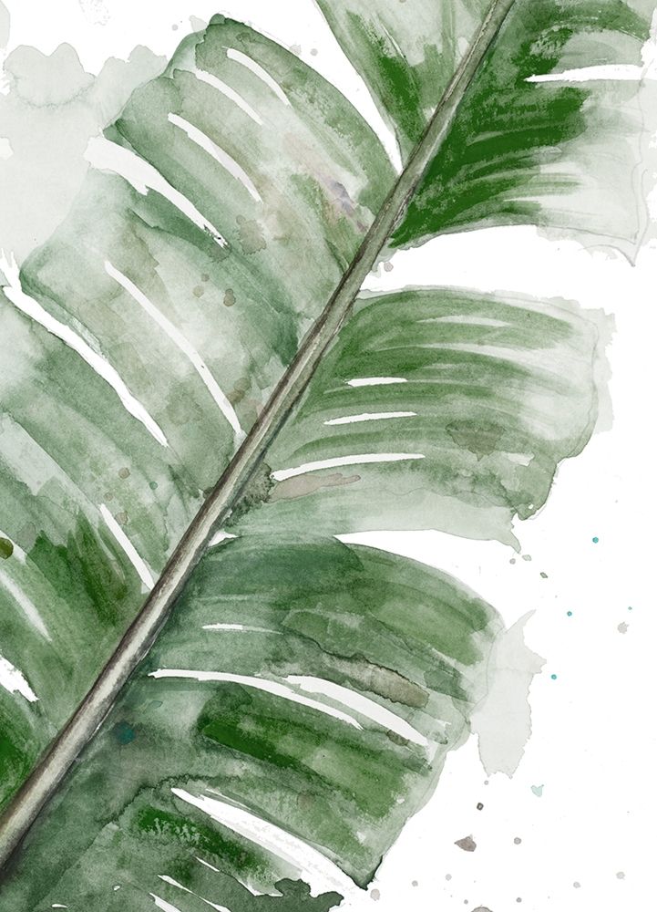 Palma Fresca Close Up art print by Patricia Pinto for $57.95 CAD