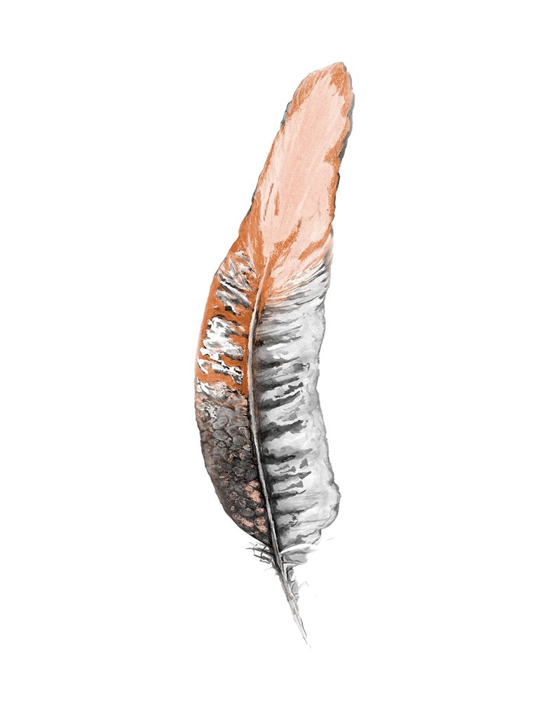 Soft Feather II art print by Diannart for $57.95 CAD