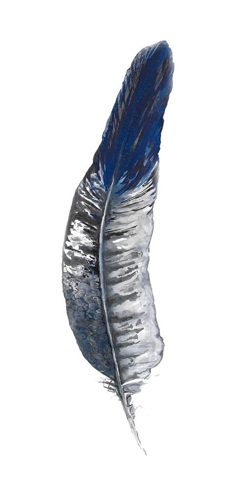 Royal Blue Tip Feather II art print by Diannart for $57.95 CAD