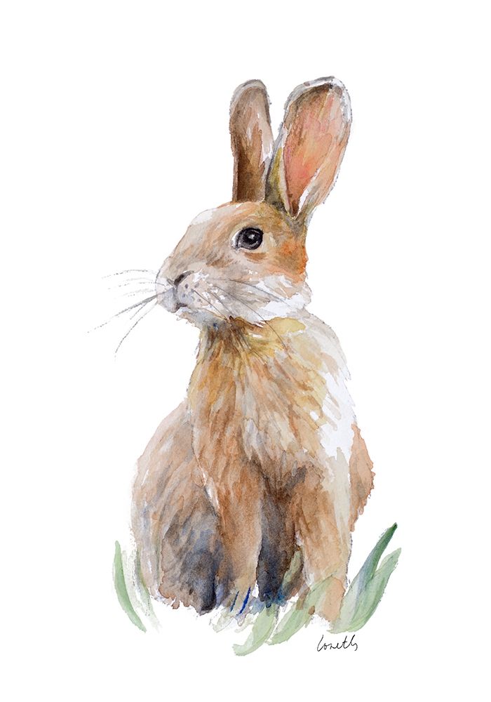 Sweet Bunny III art print by Lanie Loreth for $57.95 CAD