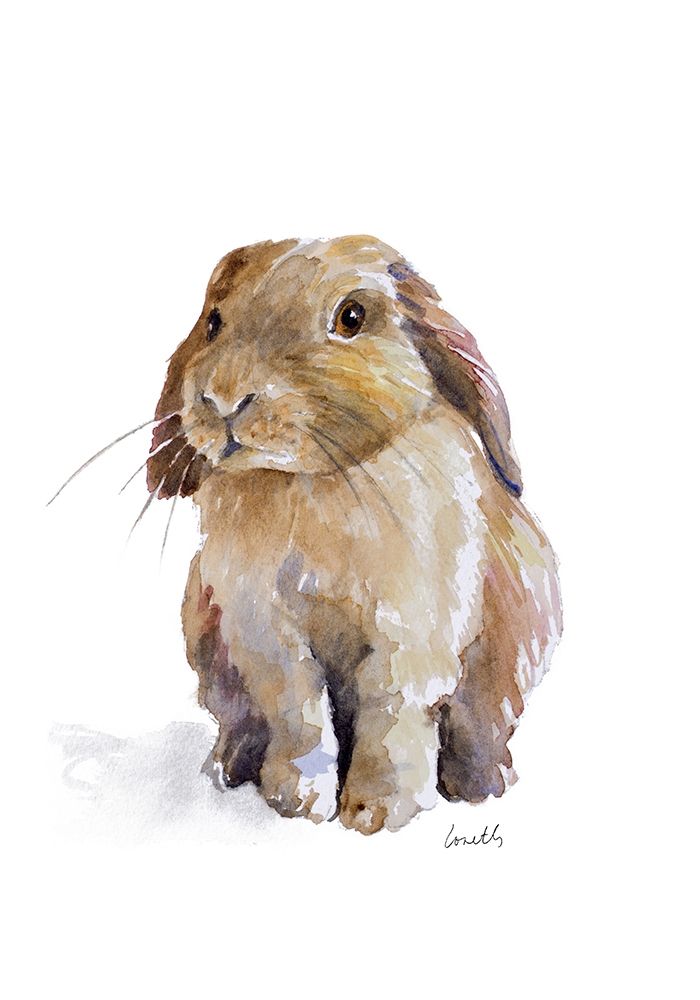 Sweet Bunny I art print by Lanie Loreth for $57.95 CAD