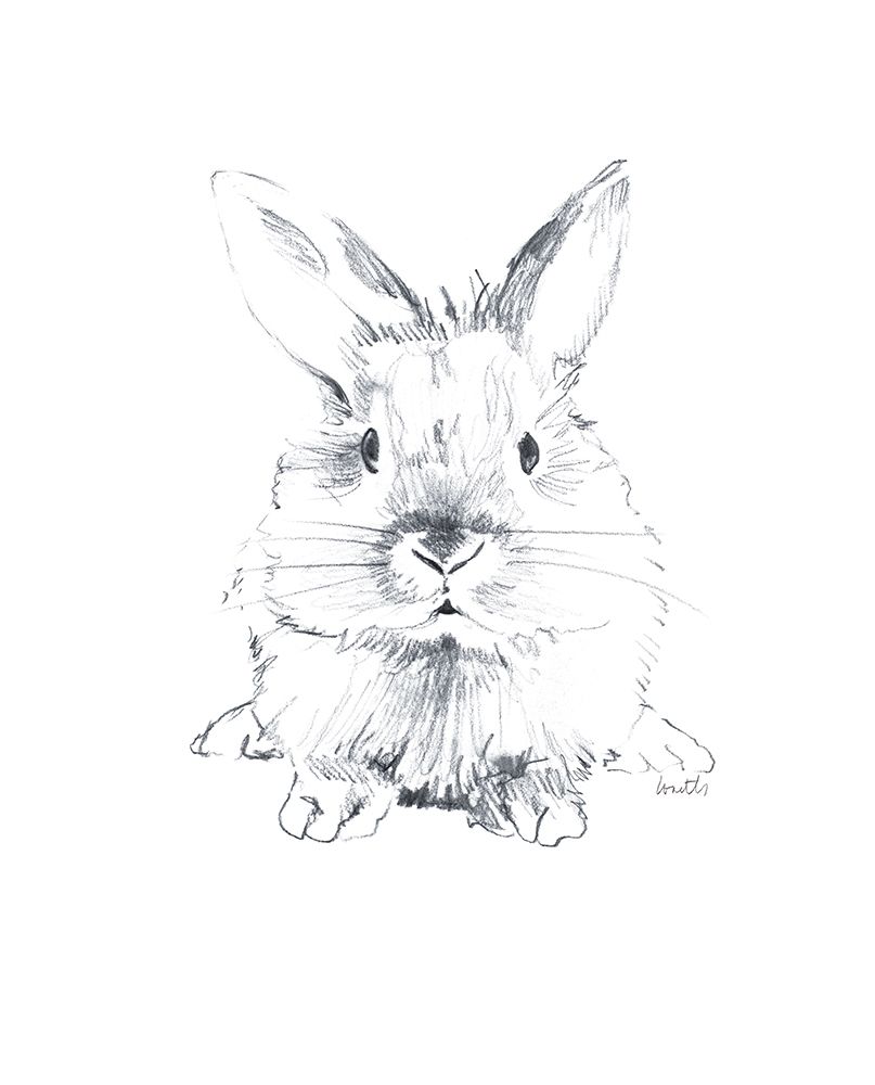Sketched Rabbit V art print by Lanie Loreth for $57.95 CAD