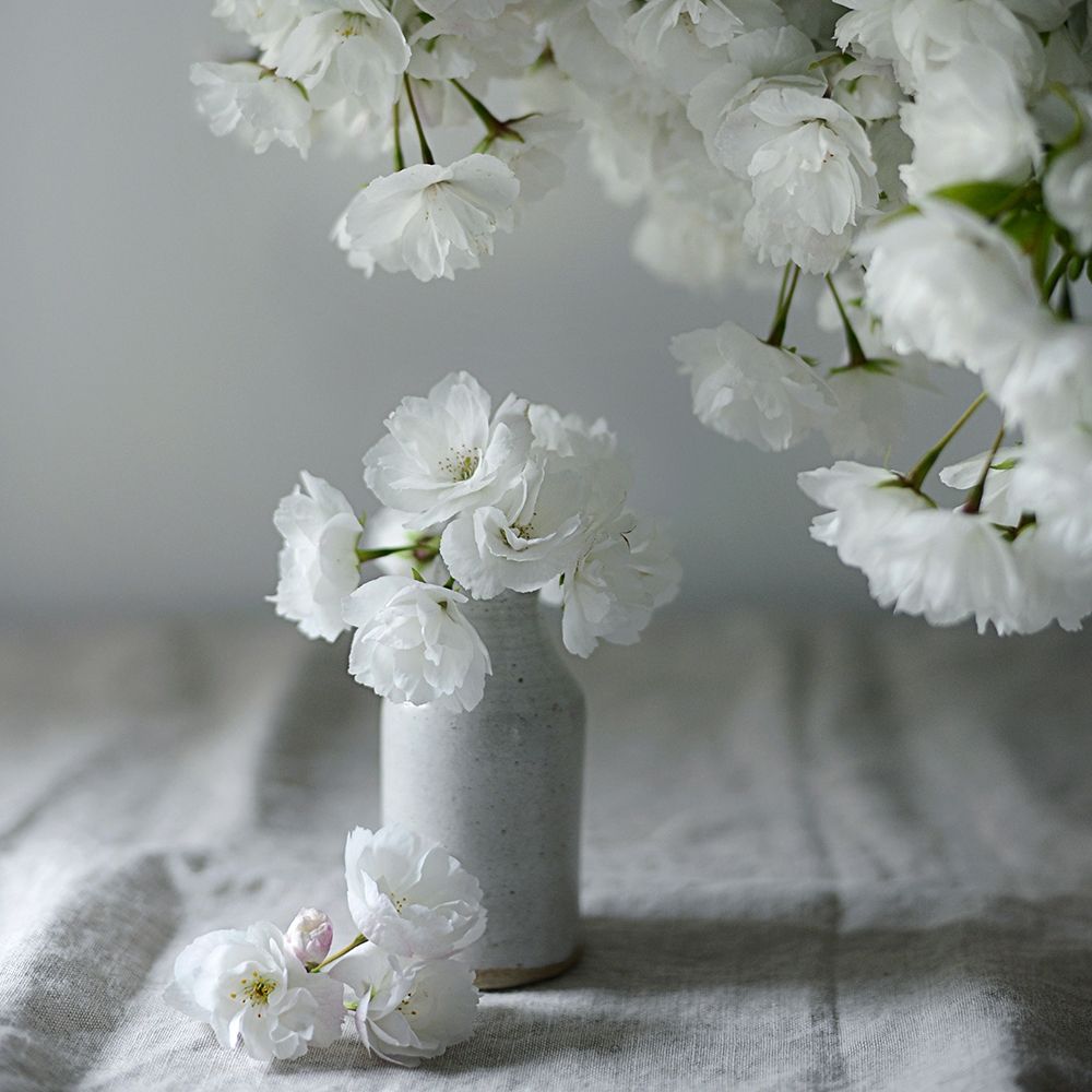 Baby Blooms art print by Sarah Gardner for $57.95 CAD