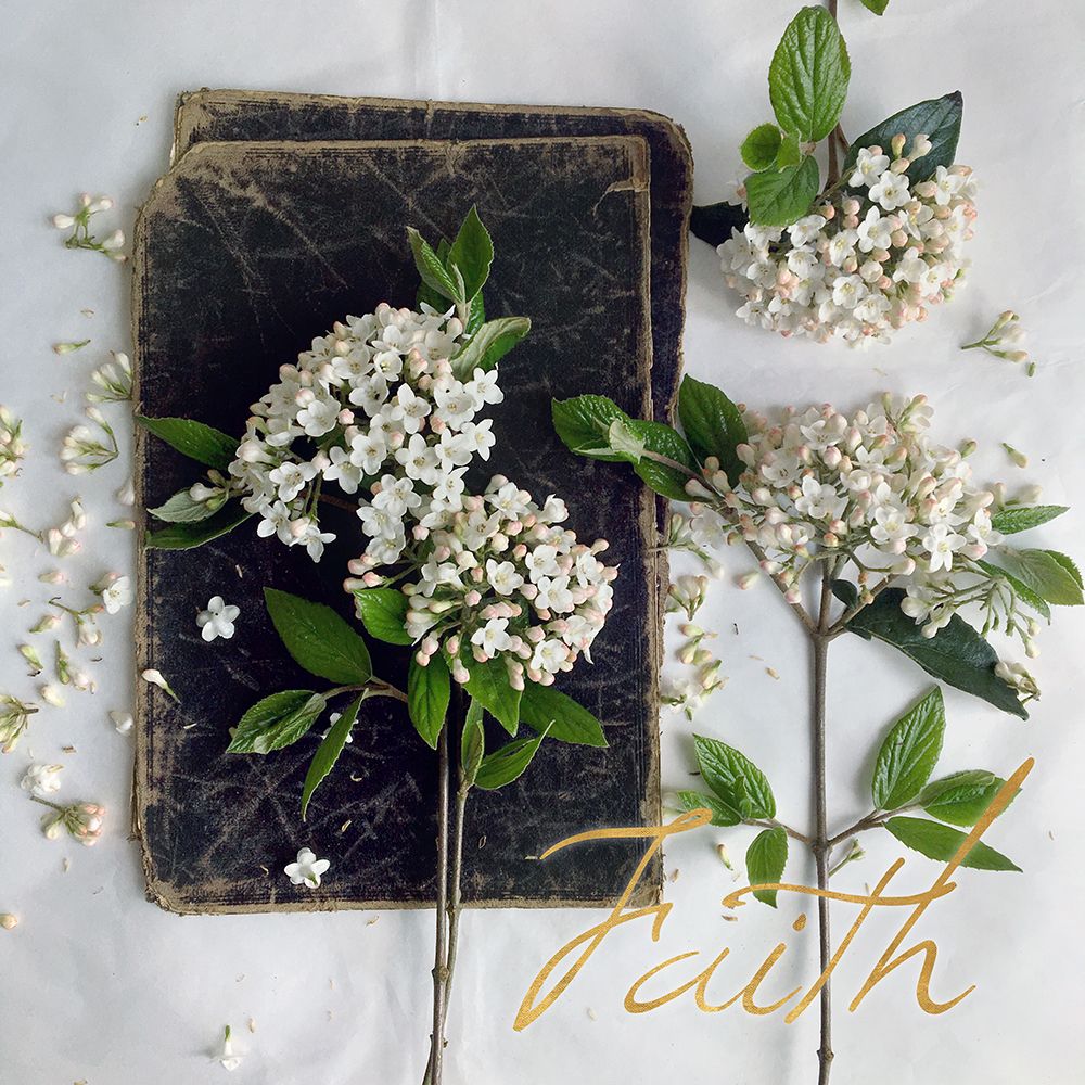 Faith Blooms art print by sarah Gardner for $57.95 CAD