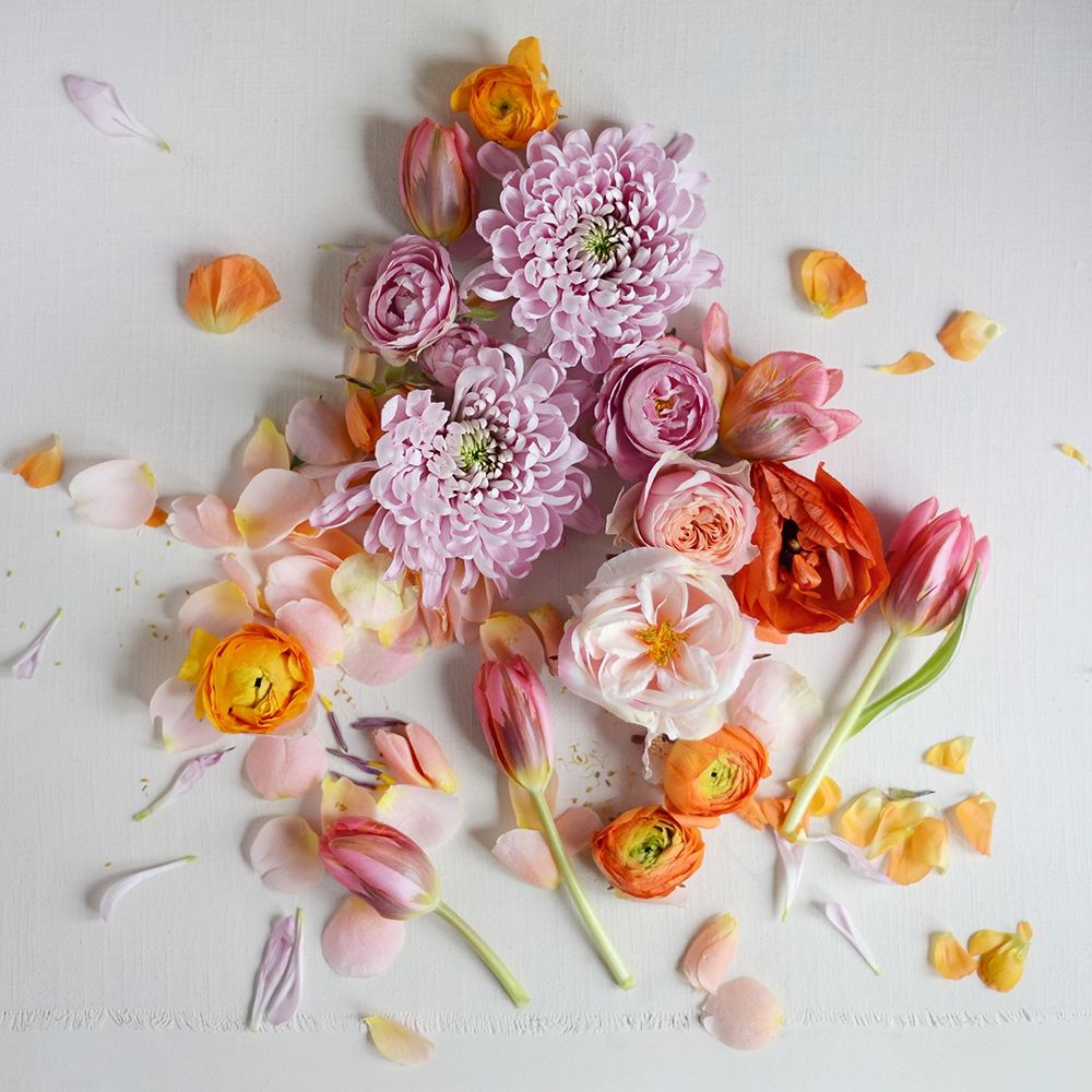 Fresh Bloom art print by Sarah Gardner for $57.95 CAD