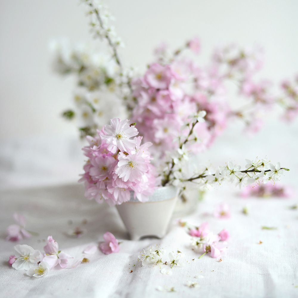 Fresh Awakenings II art print by Sarah Gardner for $57.95 CAD