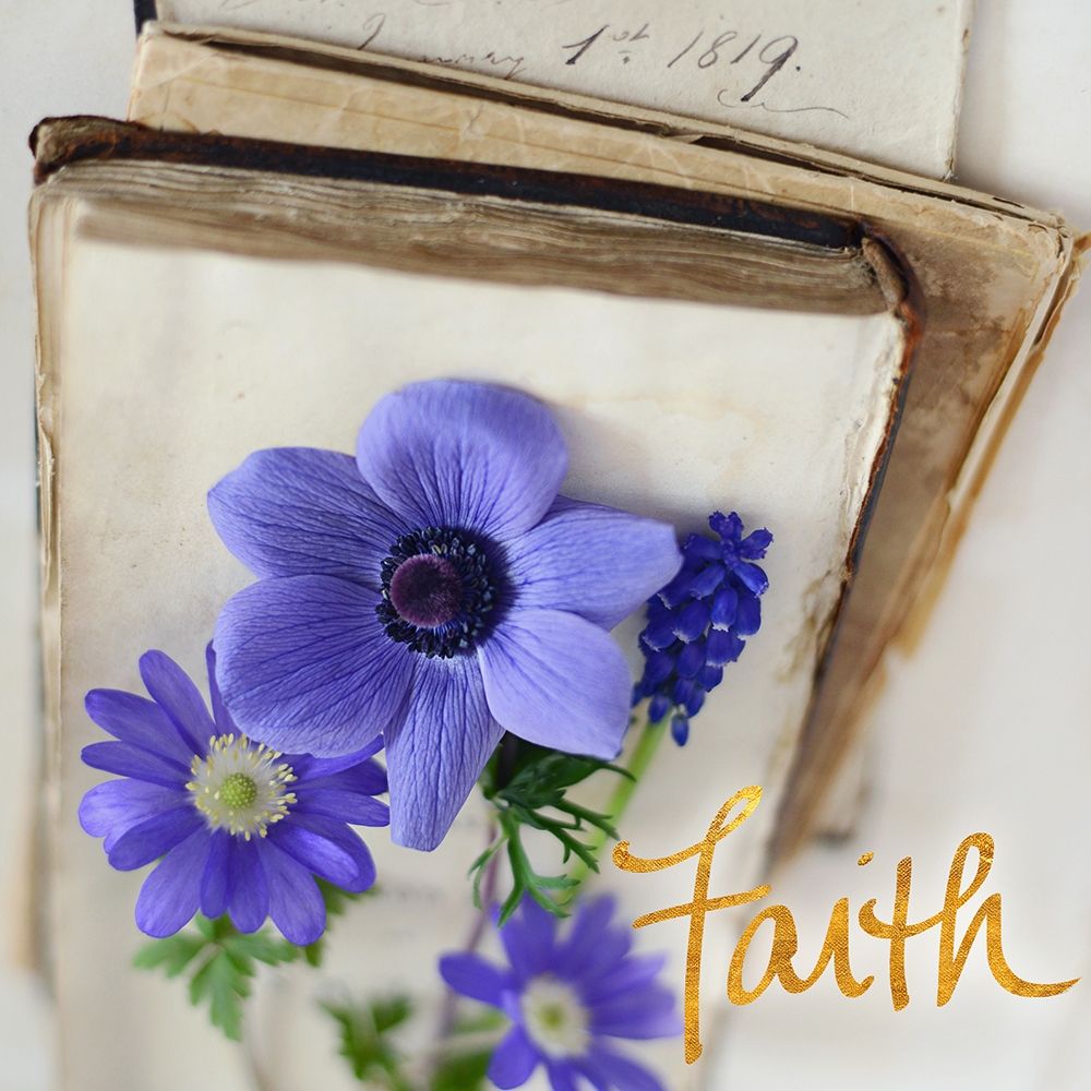 Lavender Blooms II art print by Sarah Gardner for $57.95 CAD