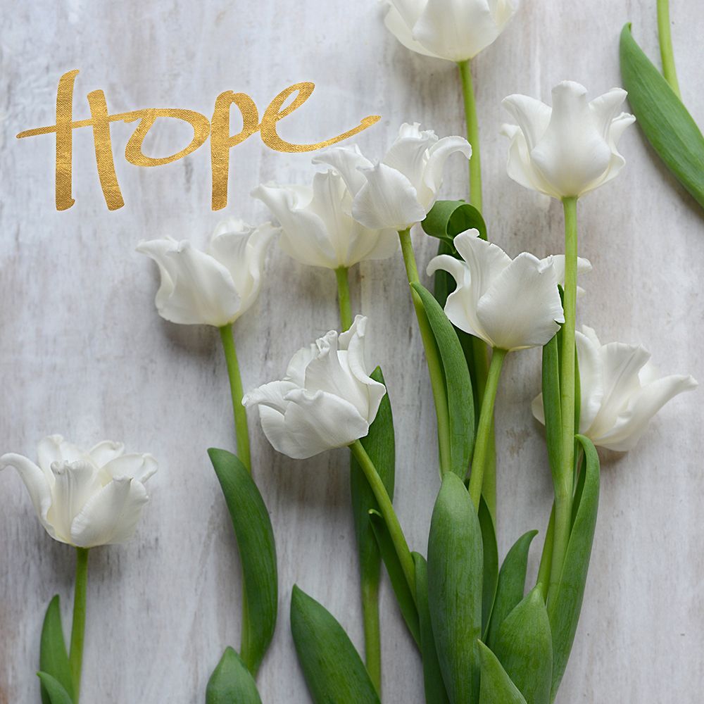 Hope Blooms (dark gold) art print by sarah Gardner for $57.95 CAD