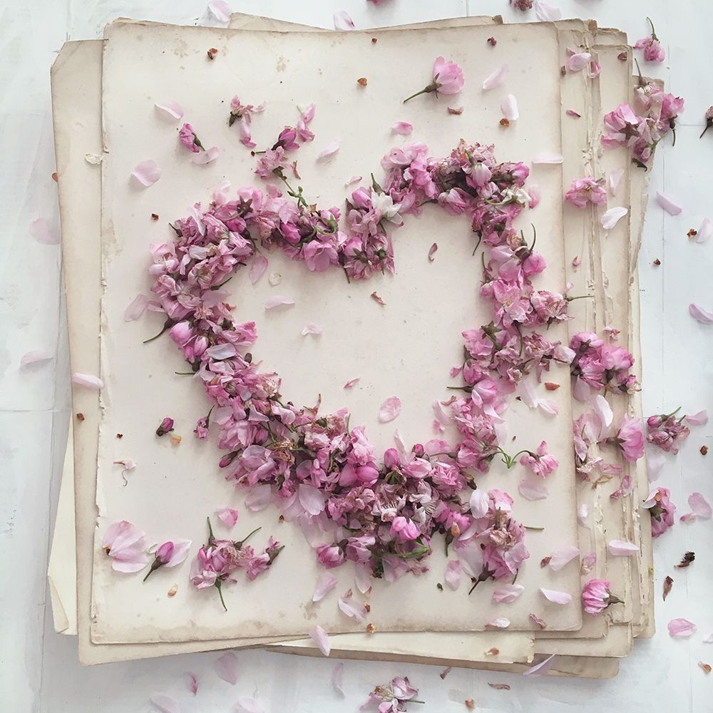 Heart Of Petals art print by Sarah Gardner for $57.95 CAD