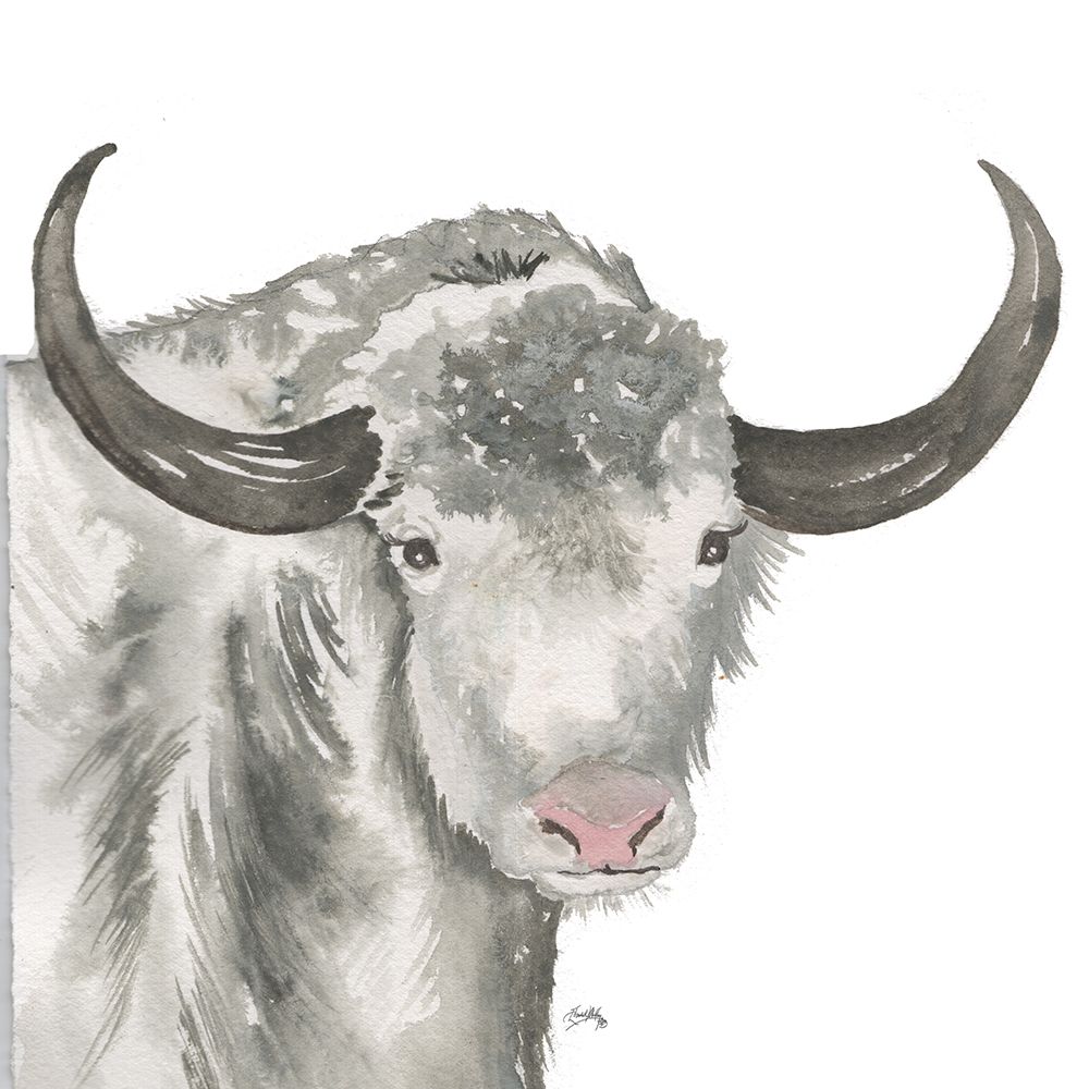 Yak art print by Elizabeth Medley for $57.95 CAD