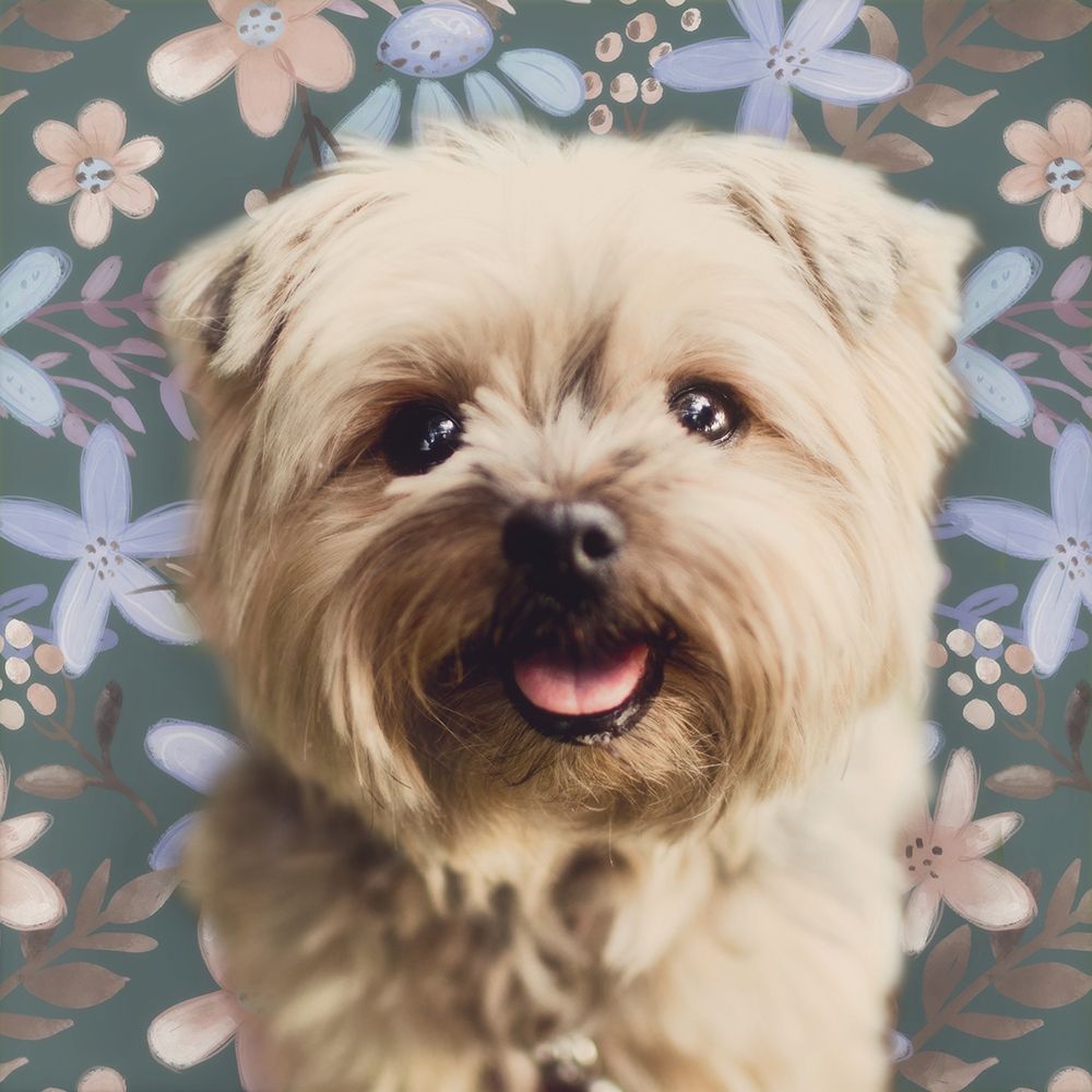 Yorky Portrait art print by Josefina for $57.95 CAD