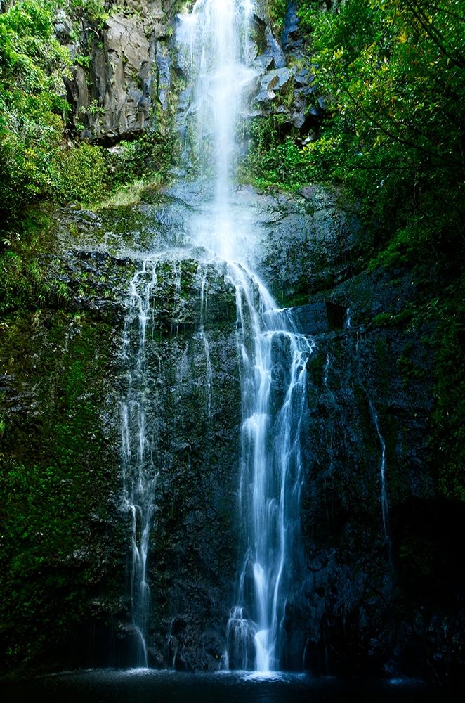 Natural Rain Forest art print by Bruce Nawrocke for $57.95 CAD