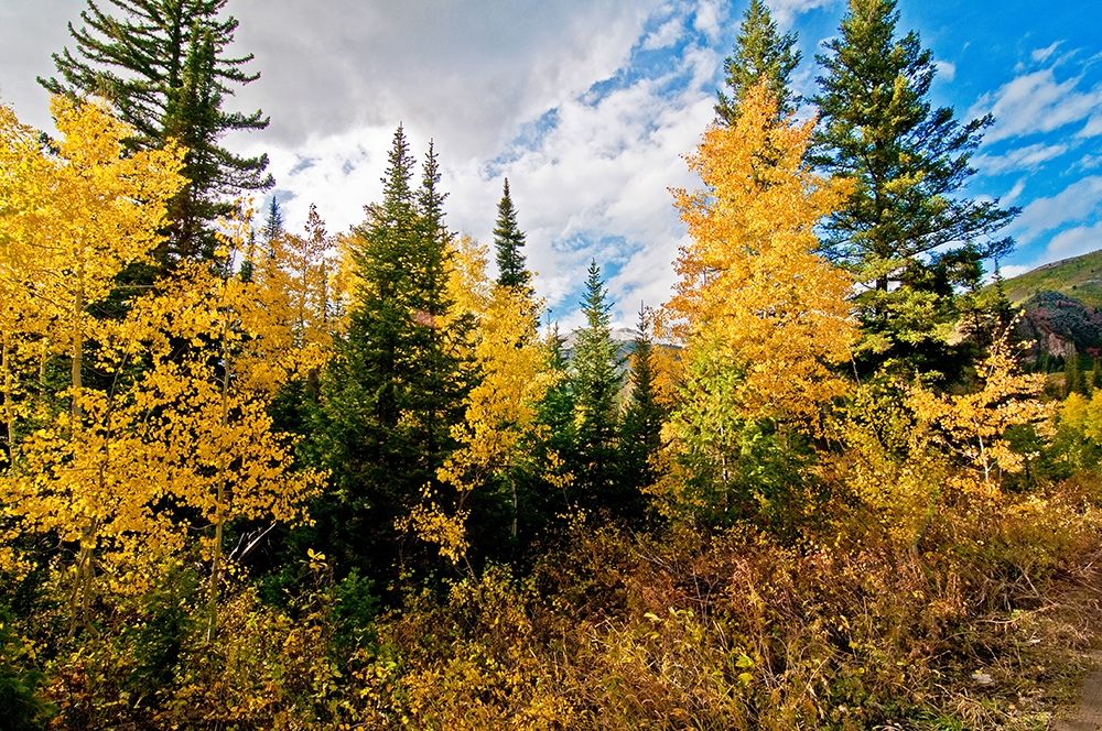 Natures Hidden Treasures I art print by Bruce Nawrocke for $57.95 CAD