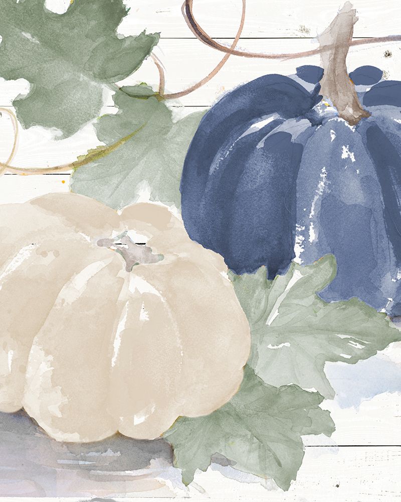 Blue And White Pumpkins art print by Lanie Loreth for $57.95 CAD