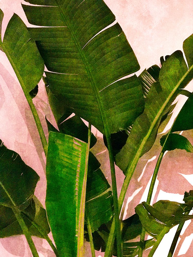 Emerald Palm art print by Emily Navas for $57.95 CAD