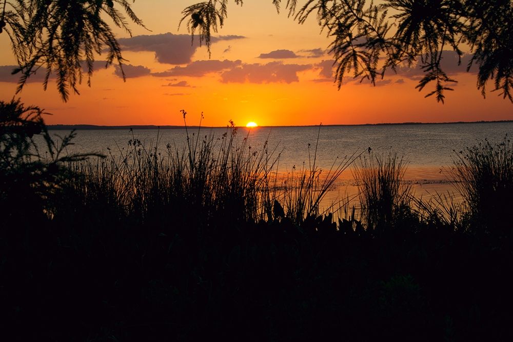 Sunset Seaside art print by Debbie ODell for $57.95 CAD