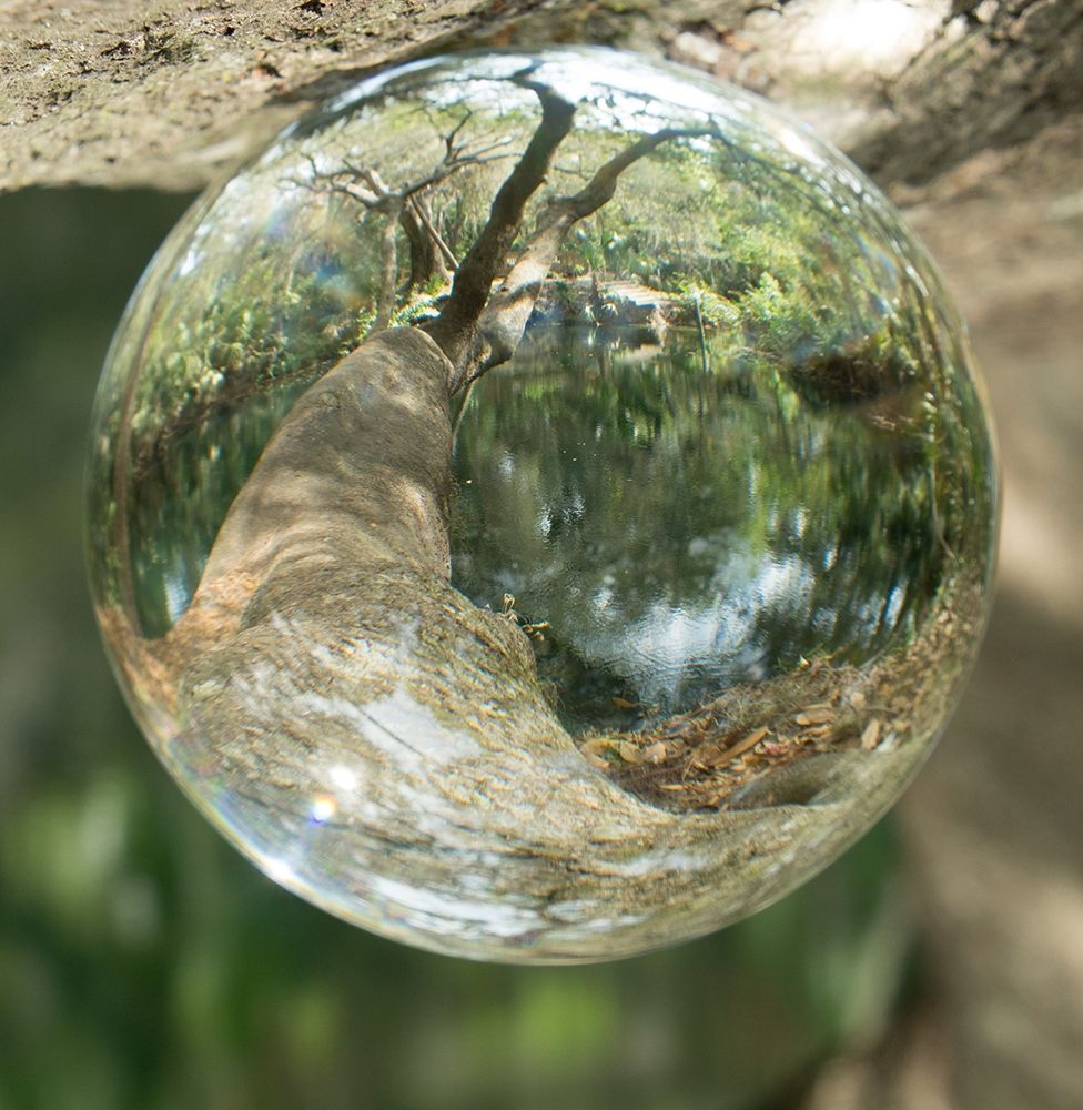 Nature Droplets art print by Debbie ODell for $57.95 CAD